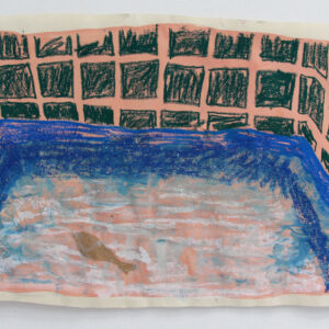 Un poisson qui barbotte (A dabbling fish)